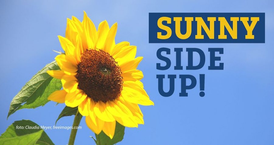 Sunny Side Up